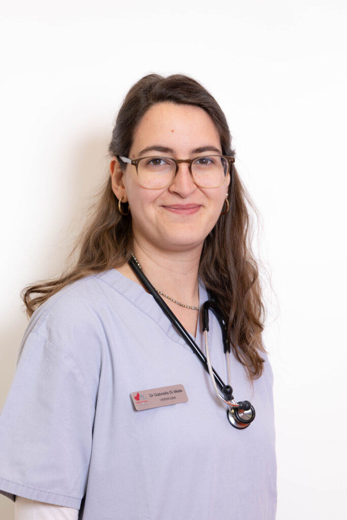 CLINIQUE VETERINAIRE CANADIENNE078