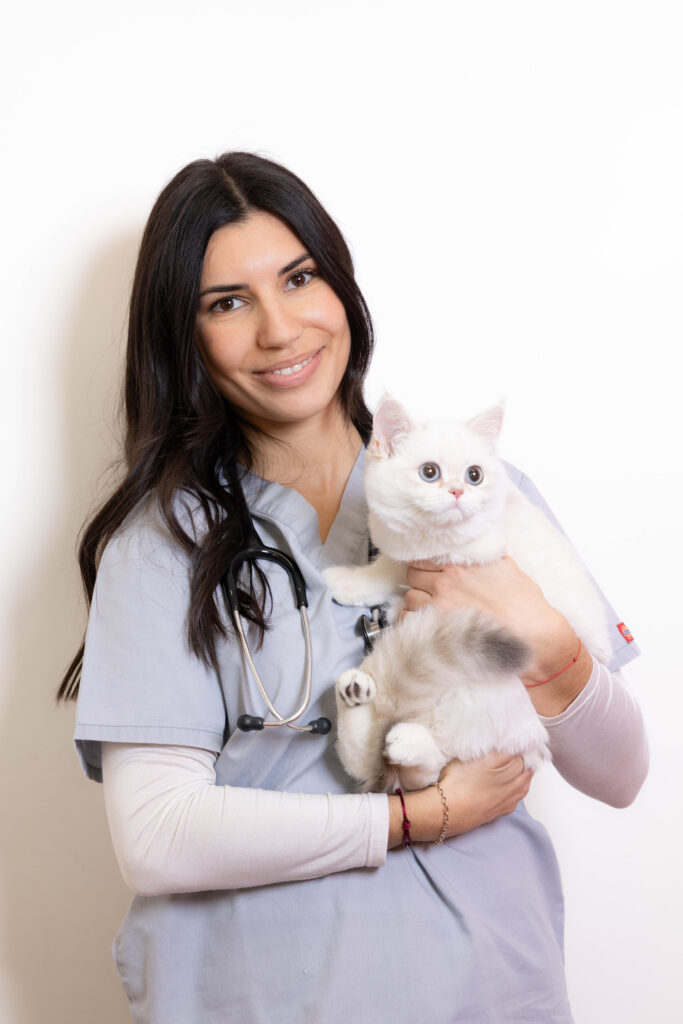 CLINIQUE VETERINAIRE CANADIENNE086