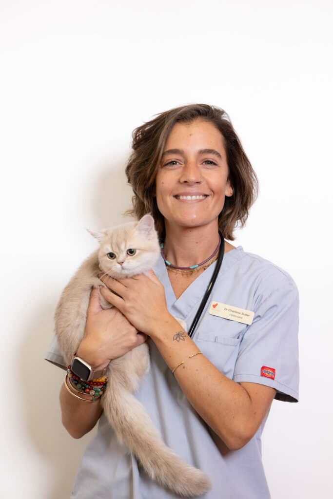 CLINIQUE VETERINAIRE CANADIENNE087