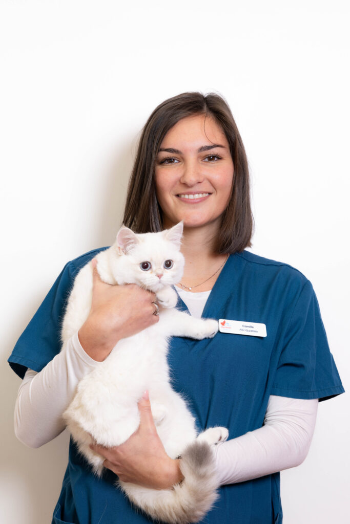 CLINIQUE VETERINAIRE CANADIENNE093