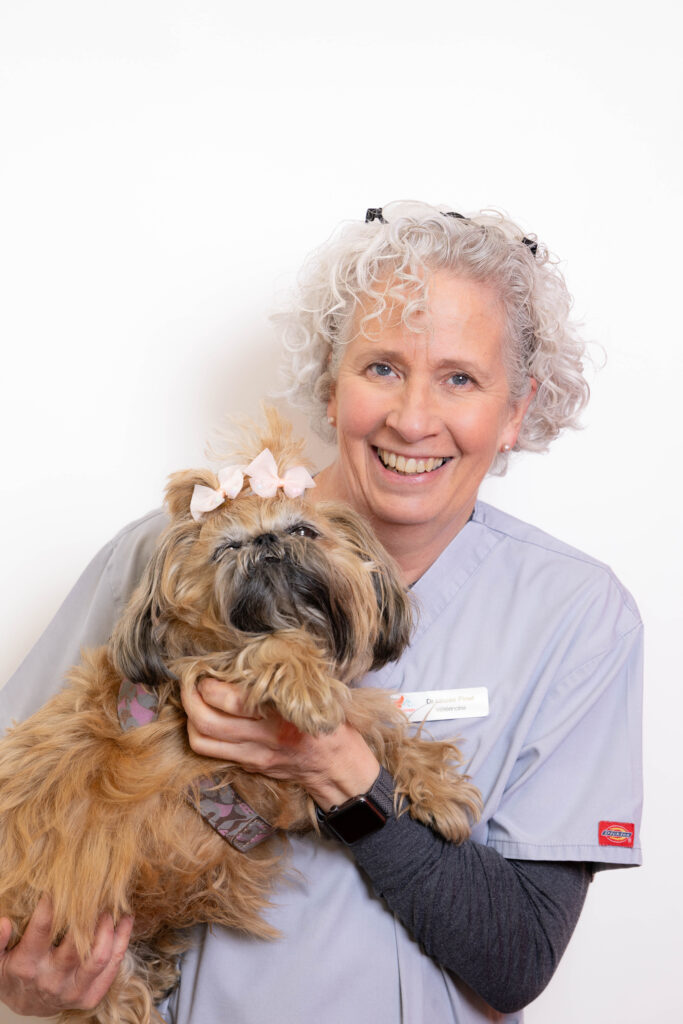 CLINIQUE VETERINAIRE CANADIENNE102